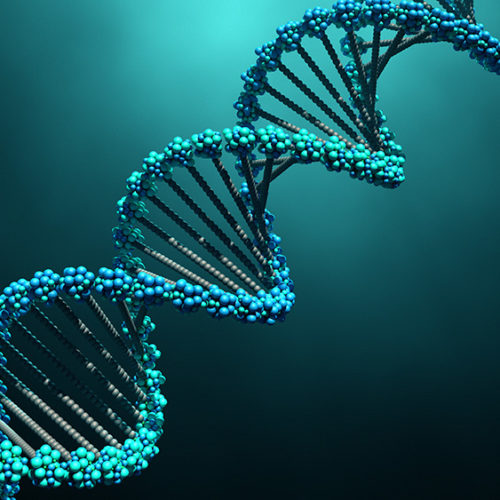 DNA molecules Goal of Identifying Nearly All Genetic Causes of Deafness Is Within Reach